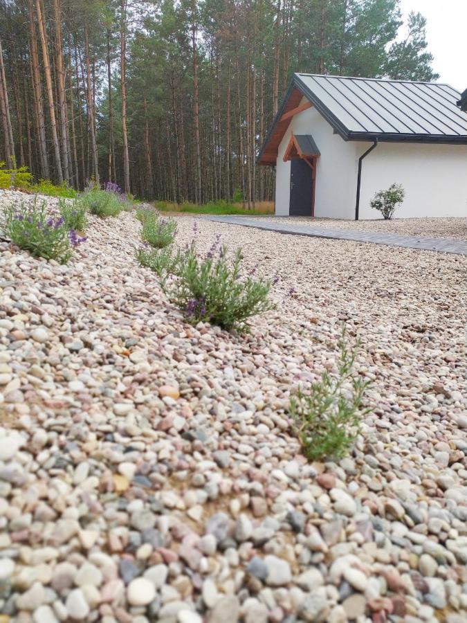 Zurawia Polana Villa Swietajno  Bagian luar foto
