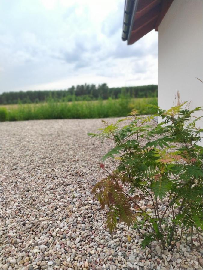 Zurawia Polana Villa Swietajno  Bagian luar foto