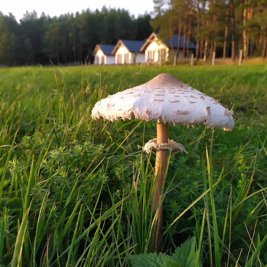 Zurawia Polana Villa Swietajno  Bagian luar foto