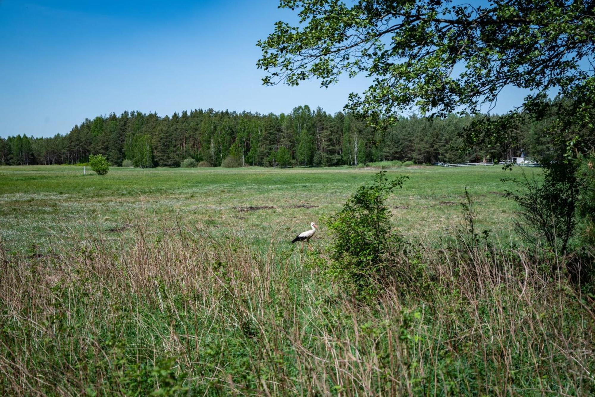 Zurawia Polana Villa Swietajno  Bagian luar foto
